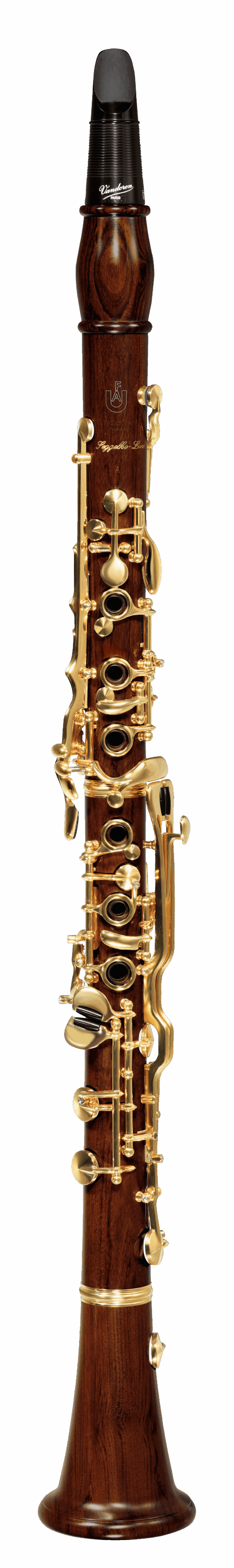 16 MOPANE GOLD deutsch Amit