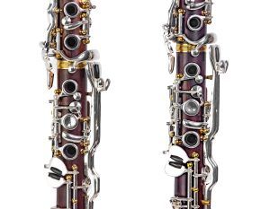 IMG 2805 scaled e1696590020933