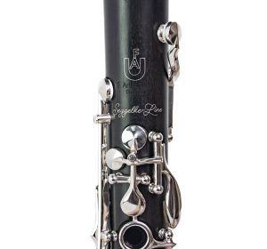 img 2799 scaled scaled