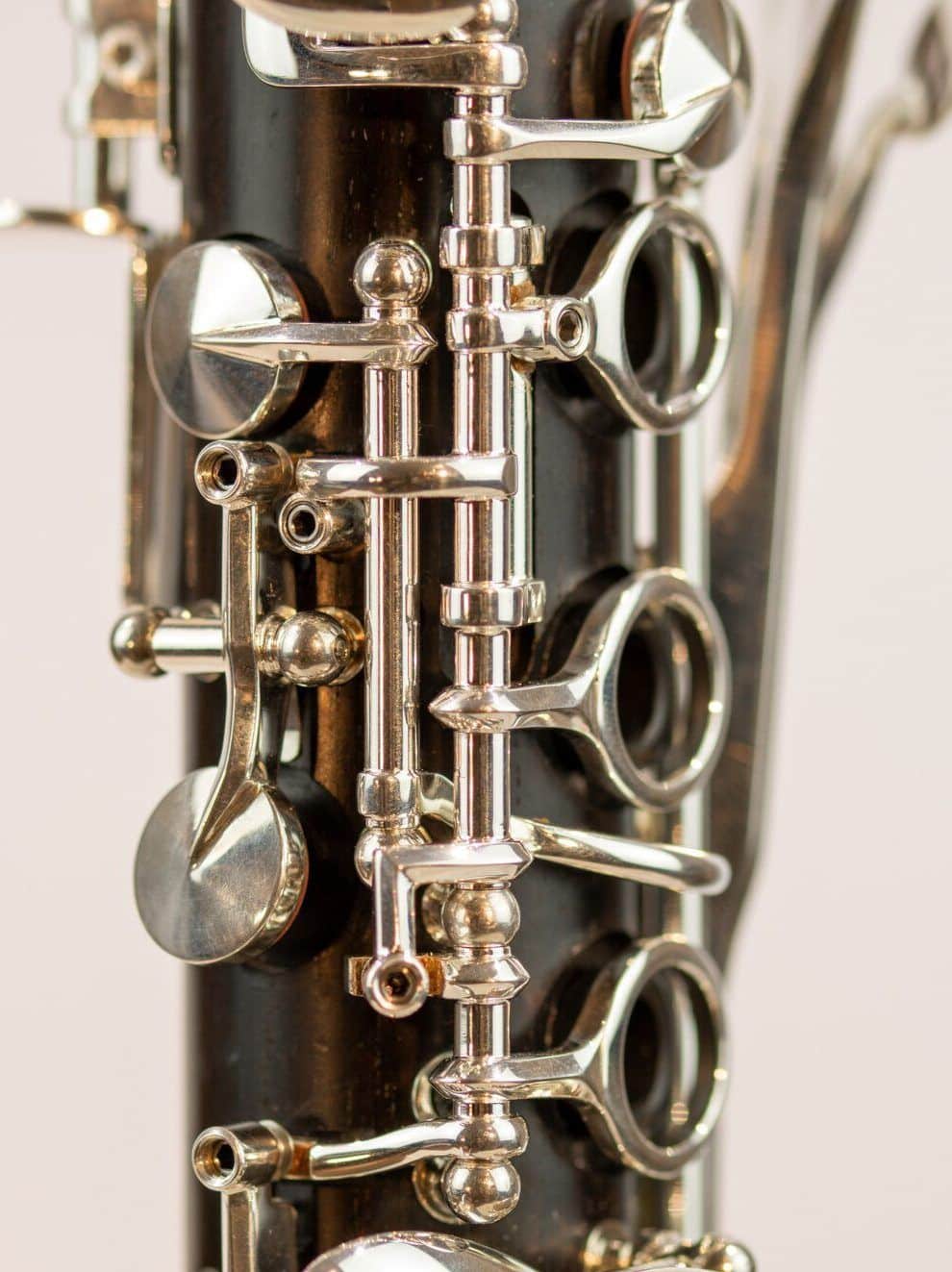 IMG 3036 Verbessert SR.jpg compressed e1710494693122