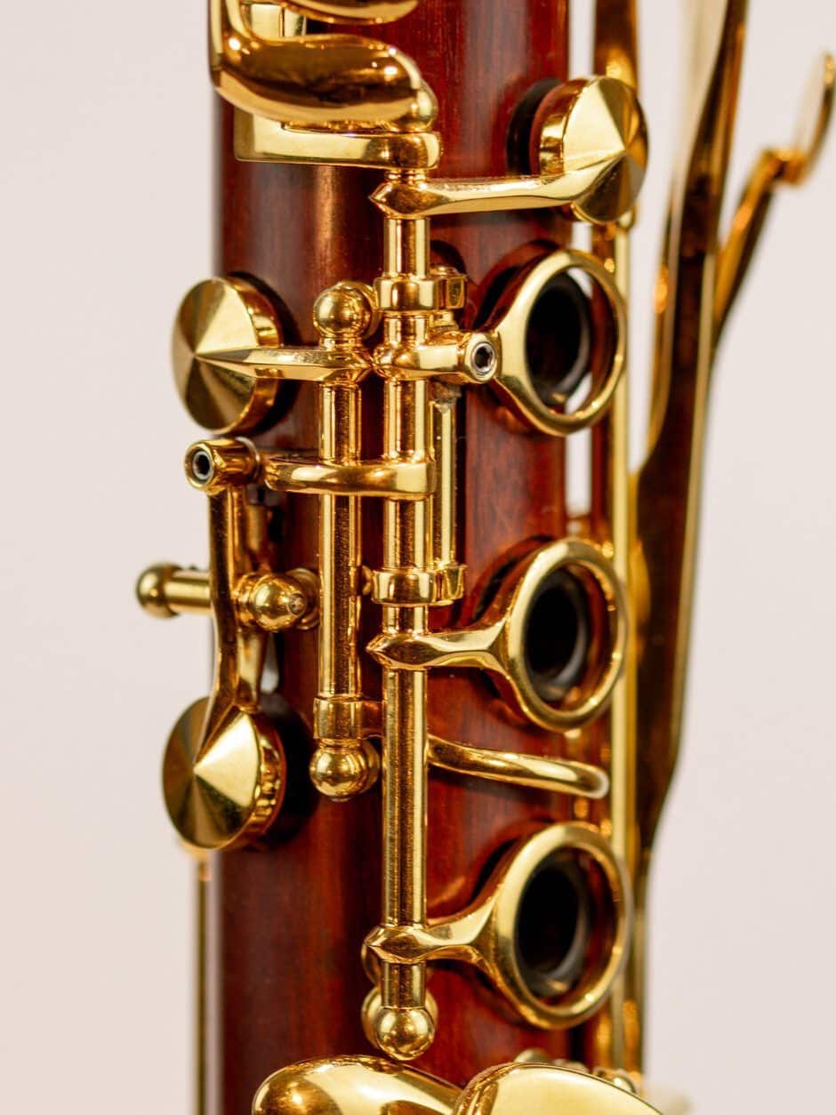 IMG 3041 Verbessert SR.jpg compressed e1709196791218