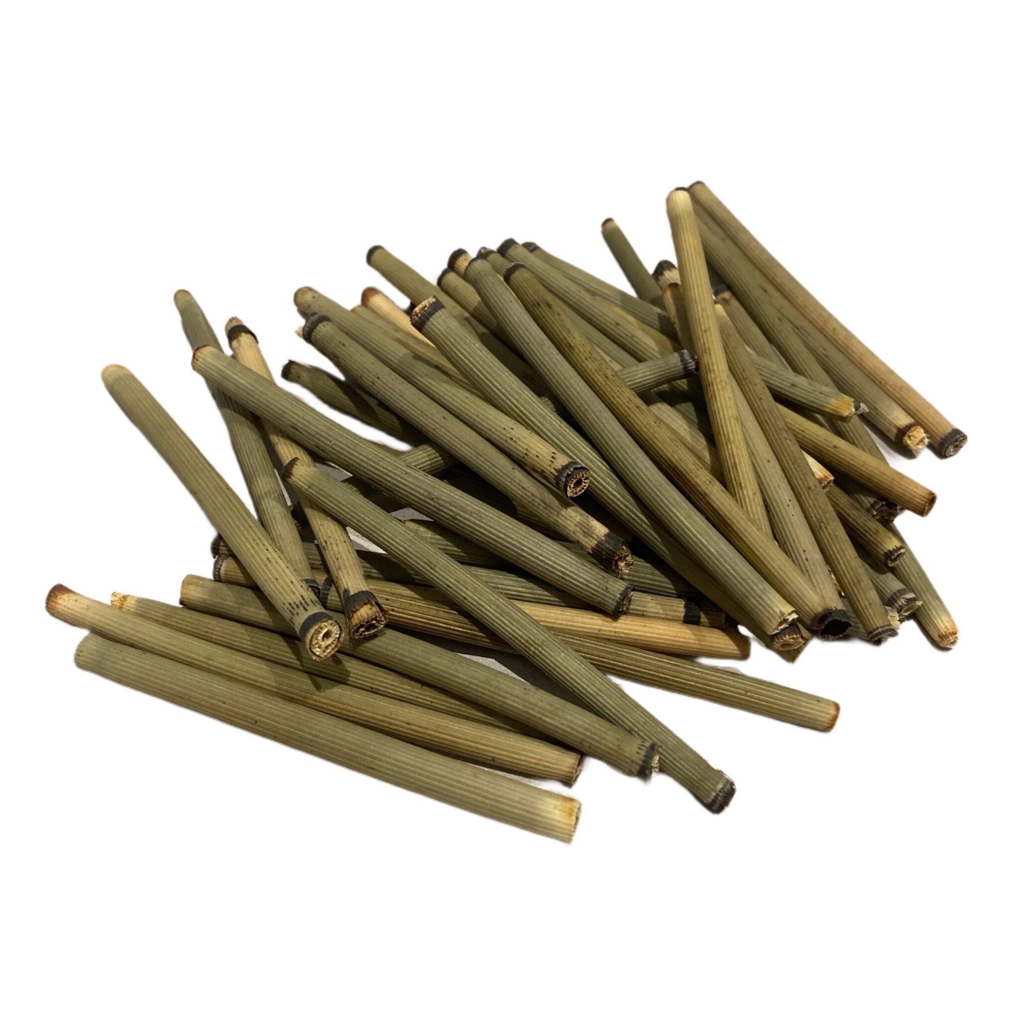Reed-Sticks – Bild 3