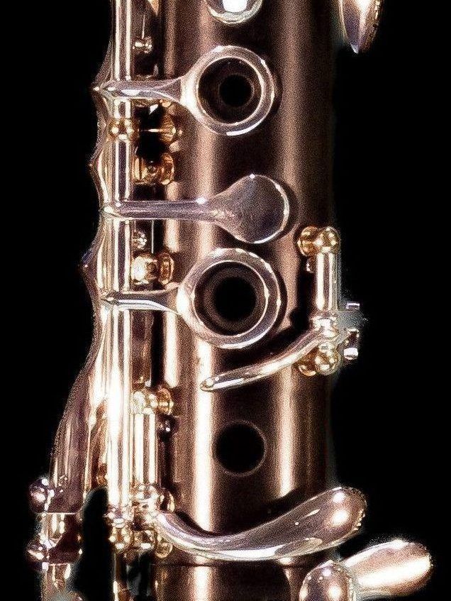 IMG 0998 1 1 e1709194567694