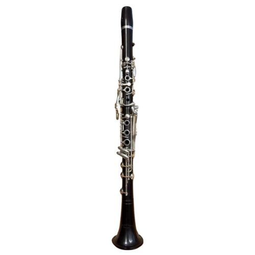 untitled design 8 1 1