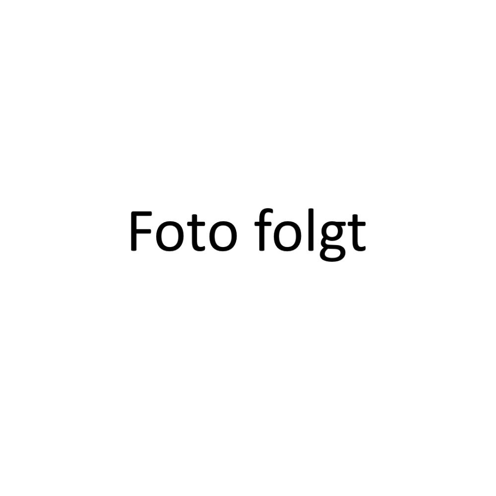 Fotofolgt